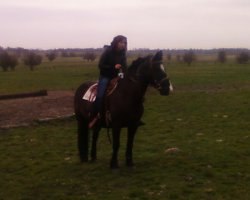 �����, �����������, 41 ���