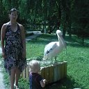 ���� *@&reg;* �����, ������������, 42 ���� - ��������� 26 ������� 2011 � ������ �������� ������)�