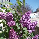 ���� Galinka)), ����������� - ��������� 28 ������ 2013 � ������ ������ ��������