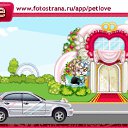 ���� �����, �����-���������, 57 ��� - ��������� 21 ������� 2010 � ������ �PetLove�