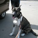 ���� �������, ����������, 39 ��� - ��������� 28 ������ 2012 � ������ ���� ����������