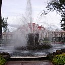  She's Like The Wind,  -  10  2010   Ի