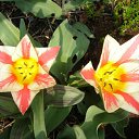 ���� ����� - ���������� ��������!!!, �����������, 56 ��� - ��������� 21 ������ 2010 � ������ ��������ۻ