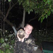 ������, 29 ���, �����������