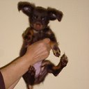 ���� ����, ���������, 64 ���� - ��������� 23 ������ 2012 � ������ �������