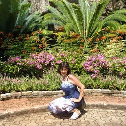 ���� �������, ������, 55 ��� - ��������� 24 ���� 2013