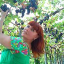 ���� ������, �����������-��-�����, 58 ��� - ��������� 5 �������� 2012