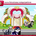  , -, 42  -  16  2011   PetLove