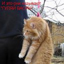  ,  -  17  2009    ))))