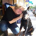 ���� �������, ��������� - ��������� 29 ������� 2012 � ������ ���� ����������