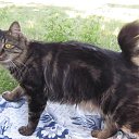 ���� ������ ������, ��������, 58 ��� - ��������� 27 �������� 2012