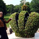 ���� ������, �����-���������, 55 ��� - ��������� 8 ���� 2013 � ������ ���� ����������