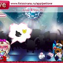 ���� �����, ���� - ��������� 4 ������ 2011 � ������ �PetLove�