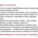 ���� ����������, �����������, 44 ���� - ��������� 31 ����� 2013 � ������ �������