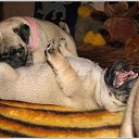 ���� ����������, ������� - ��������� 7 ������ 2013 � ������ ���� ����������