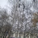 ������ ��������� �� ������� ���� ����������