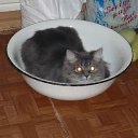 ���� �����, ���������, 50 ��� - ��������� 24 ������ 2009 � ������ �������