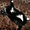 ���� ���������, �������, 54 ���� - ��������� 27 ������ 2011 � ������ ���� ����������