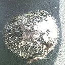 ���� �� ������� ���� ����������