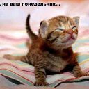 ���� ����, ������, 30 ��� - ��������� 28 ������� 2010 � ������ ������� ����������