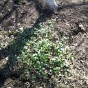 ���� ����, ������, 41 ��� - ��������� 9 ��� 2011 � ������ �����