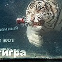 ���� ����, ����, 40 ��� - ��������� 8 ������ 2010 � ������ �������