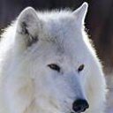 ���� Sanat, ���� - ��������� 22 ������� 2012 � ������ ������� �������!�