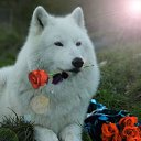 ���� "@����", �����-���������, 25 ��� - ��������� 26 ��� 2010 � ������ �����Ȼ