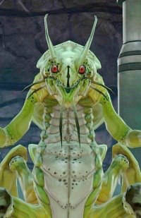 Ylar, ������, 42 ����