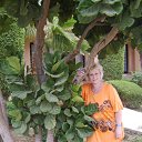 ���� �������, ������, 61 ��� - ��������� 5 ������ 2012 � ������ ���� ����������