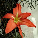 ���� ���������, ����������, 65 ��� - ��������� 20 ������ 2011 � ������ �������������!!!�