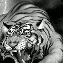 ���� ������� ������������, �����-��-����, 65 ��� - ��������� 22 ����� 2012 � ������ ���� ����������