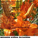 ���� ����, ���, 46 ��� - ��������� 7 ��� 2013 � ������ �� �ͨ� �����ۻ