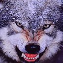 ���� �������, �����-���������, 50 ��� - ��������� 9 ���� 2013