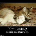 ���� ����, ������, 48 ��� - ��������� 8 ���� 2011 � ������ ����