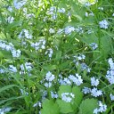 ���� ������, �����������, 55 ��� - ��������� 11 ������� 2012 � ������ ����� 2011�