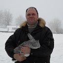 ���� ���, ������, 59 ��� - ��������� 29 ����� 2013 � ������ ���� ����������