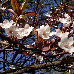 ���� �����, �����������, 45 ��� - ��������� 22 �������� 2010