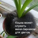 ���� �����, �����-���������, 26 ��� - ��������� 10 ������ 2011 � ������ ������