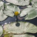 ���� �������, ���������, 55 ��� - ��������� 7 ������� 2012 � ������ �������