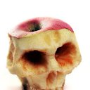  , -, 36  -  24  2010   