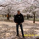 ���� ���, �������, 48 ��� - ��������� 23 ��� 2013 � ������ ���� ����������