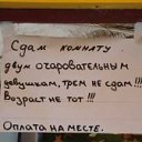 ���� �����, �������, 36 ��� - ��������� 19 ������� 2009 � ������ ���������