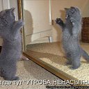 ���� �������, �����-��������� - ��������� 27 ���� 2012 � ������ �������