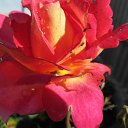 ���� �������, �������, 70 ��� - ��������� 25 �������� 2012 � ������ �������