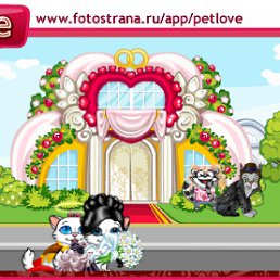 ���� ������, �������, 26 ��� - ��������� 20 ������ 2011