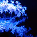 ���� ���, �������, 45 ��� - ��������� 16 ������� 2010 � ������ ���