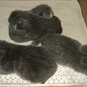 ���� ����_����� ������ ���� ���-��..., �������� - ��������� 2 ������� 2013 � ������ ���������� 02.08�