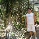 ���� ����, �����, 50 ��� - ��������� 31 ������ 2013