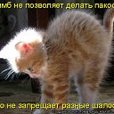 ���� ��������, �������� - ��������� 11 ����� 2012 � ������ �������� ��������